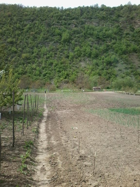 La Popas Orhei Exterior foto